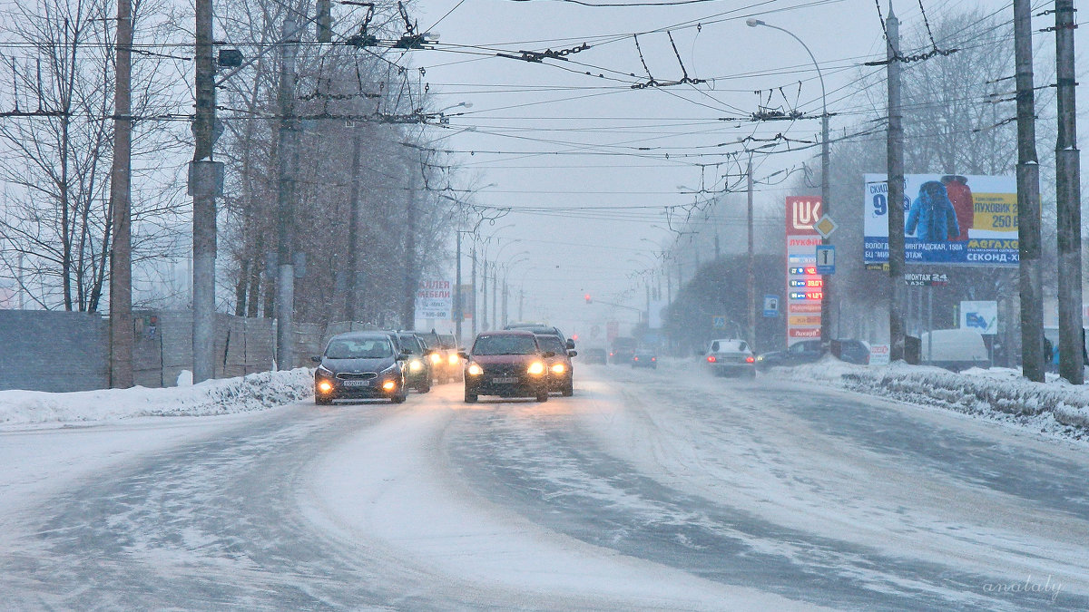 Дорога - Натали Зимина