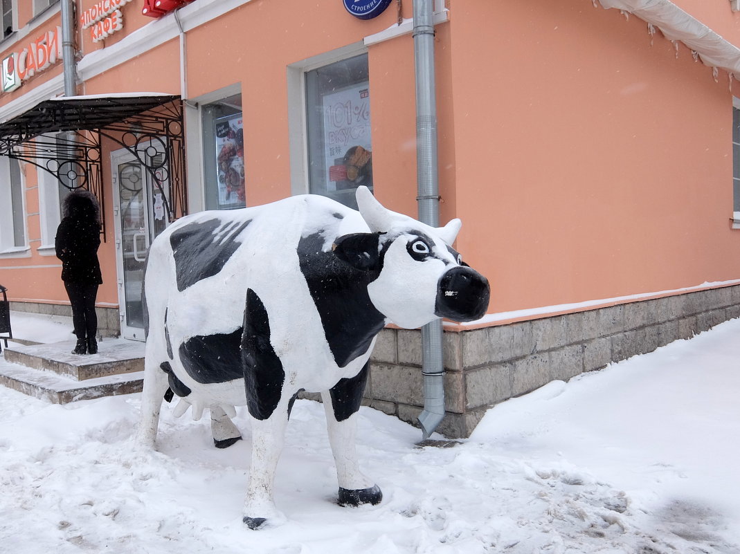 В японское кафе пускают не всех. - Люба 
