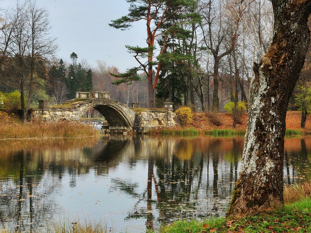Мостик к храму Венеры в Гатчине - Лариса Крышталь 