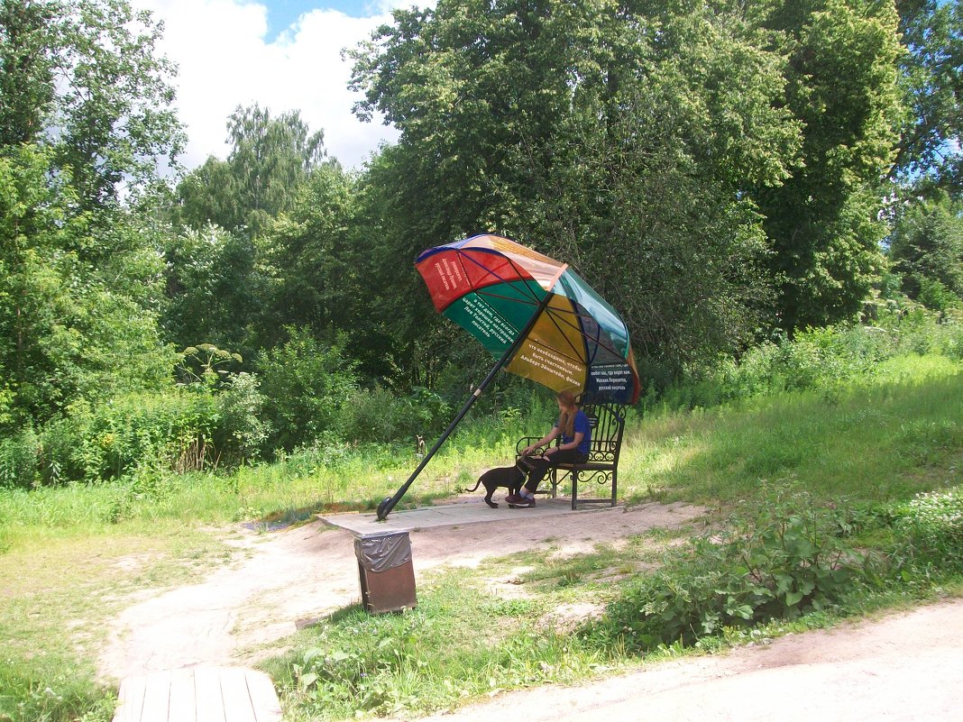 В Сестрорецком Парке - Илья Новгородов В Сестрорецком Парке - Илья Новгородов