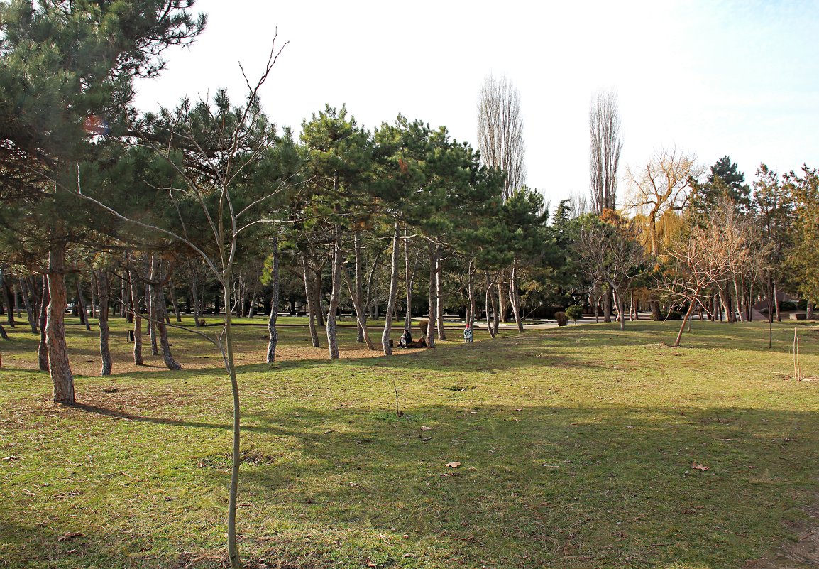 Отдых в парке - Валентин Семчишин Отдых в парке - Валентин Семчишин