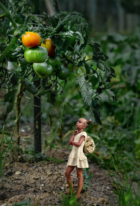 улитка - Кристина Кукина