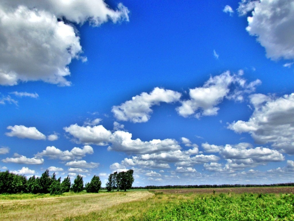 *** - Владимир 