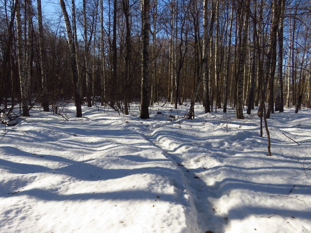Вариации на тему приближения весны (мои полчасика перед работой) - Андрей Лукьянов Вариации на тему приближения весны (мои полчасика перед работой) - Андрей Лукьянов