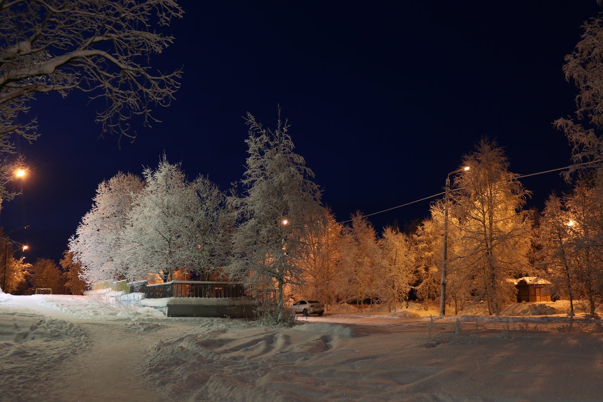 Вечер в серебряном городе - Ольга 