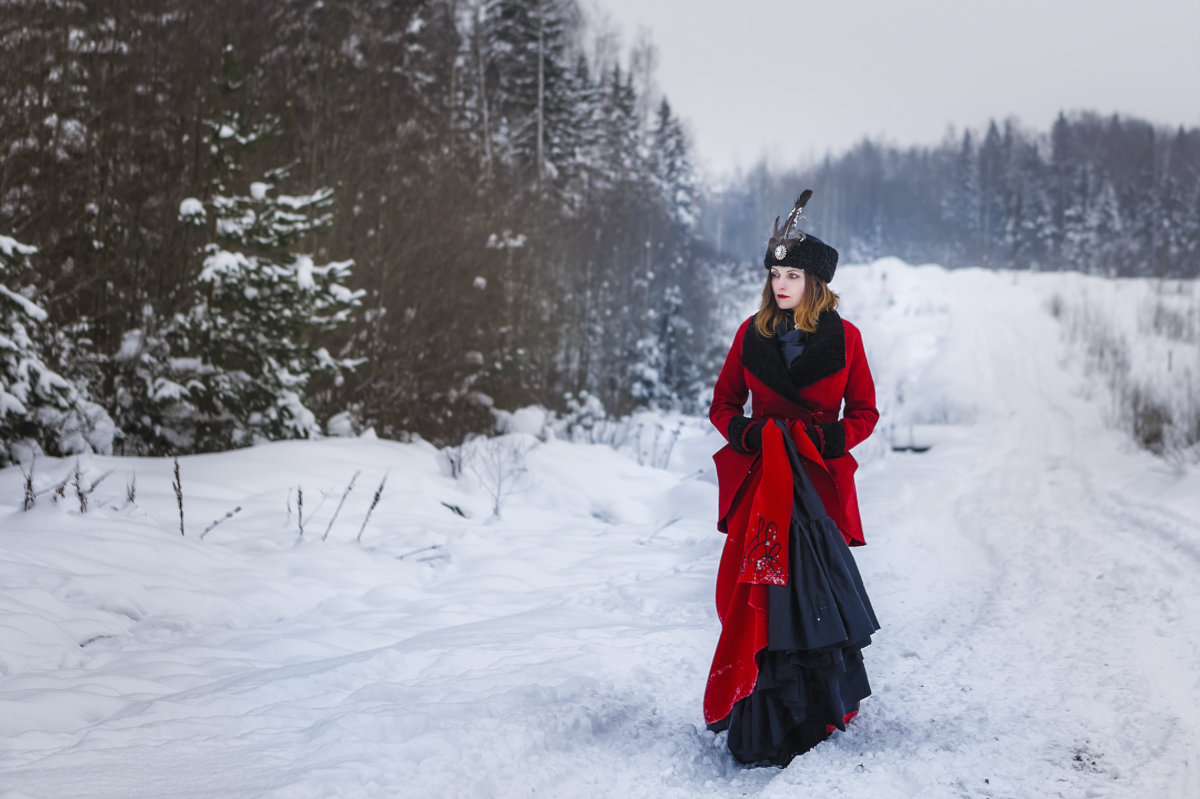 The Lady in Red - Владимир Колесников