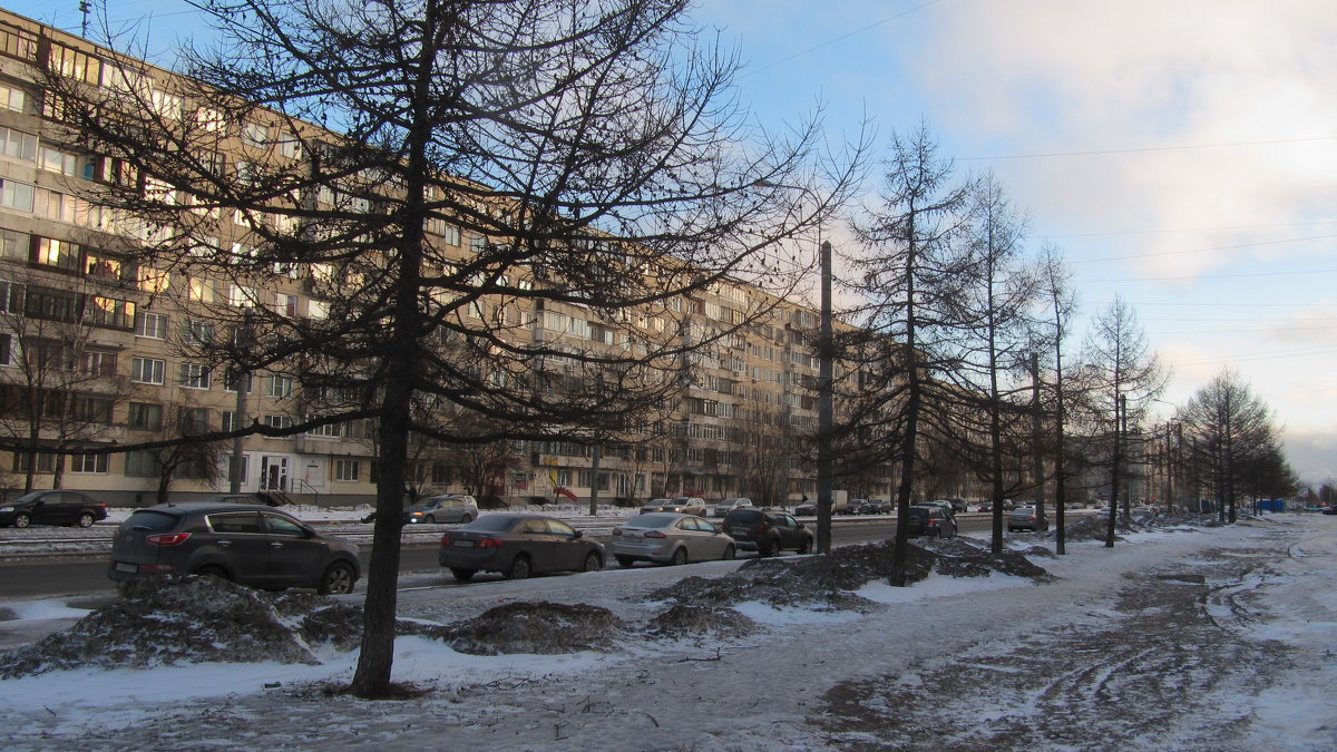 Февральское утро в спальном районе - Наталья Герасимова