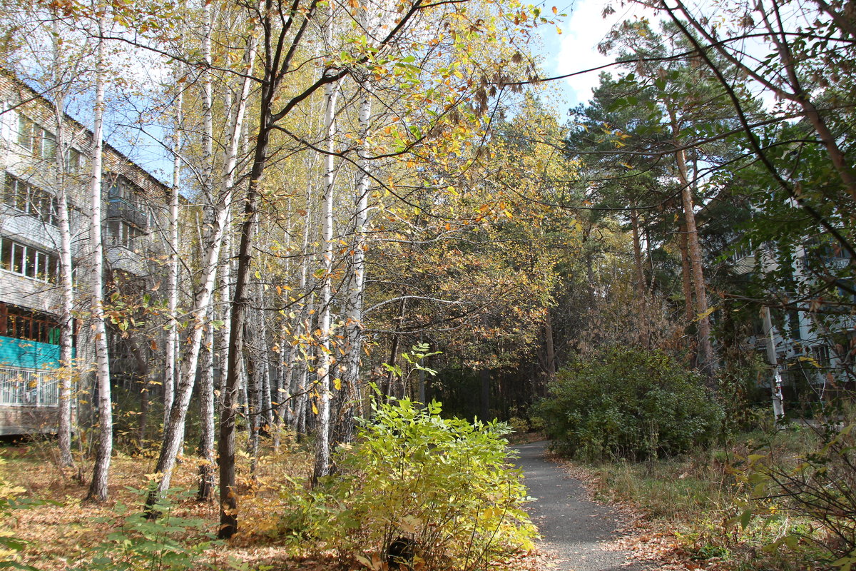 У моего дома осень - Олег Афанасьевич Сергеев У моего дома осень - Олег Афанасьевич Сергеев