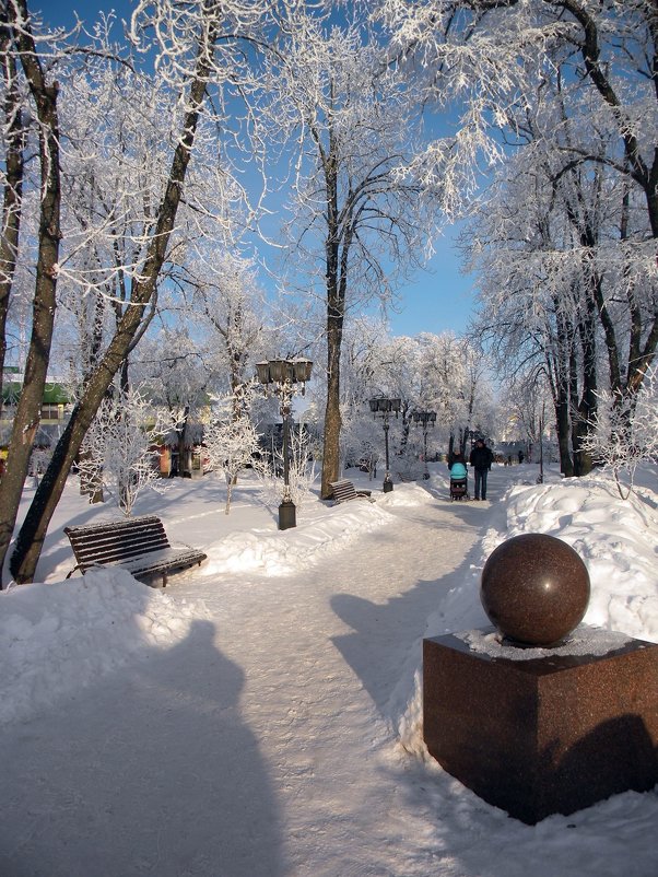 В зимнем парке - Роман Савоцкий