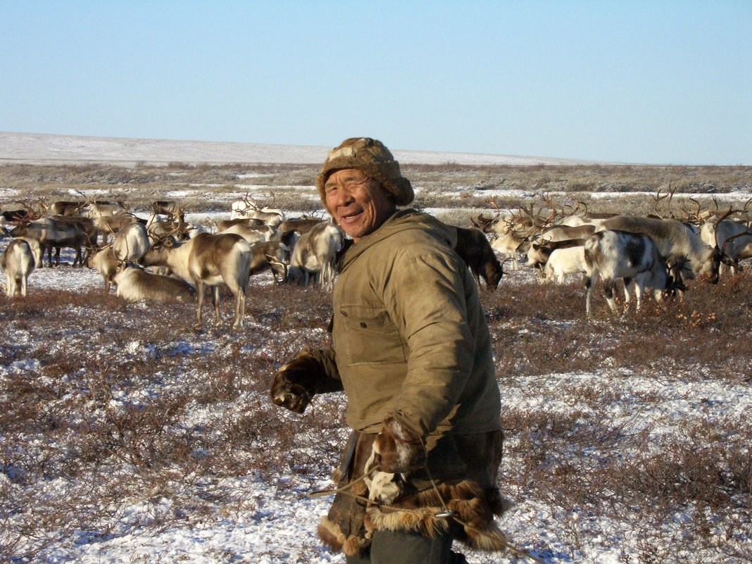 Дядя Коля - оленевод - Kuleshova Polina 