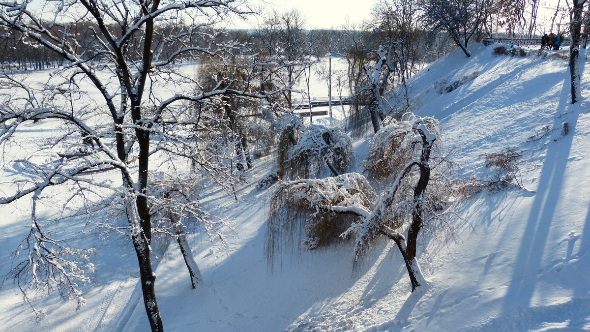 в зимнем парке 4 - Александр Прокудин