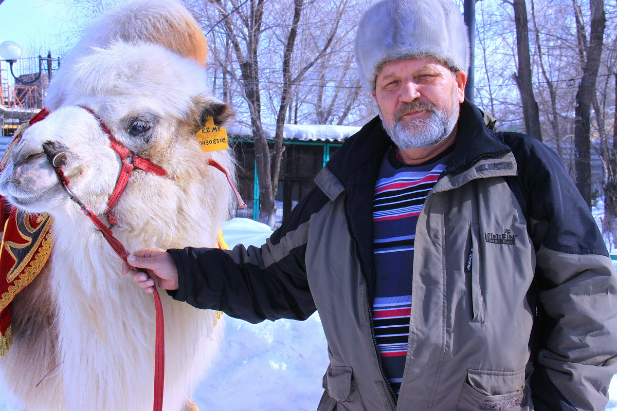 Эх зима, зимушка! - Штрек Надежда Эх зима, зимушка! - Штрек Надежда