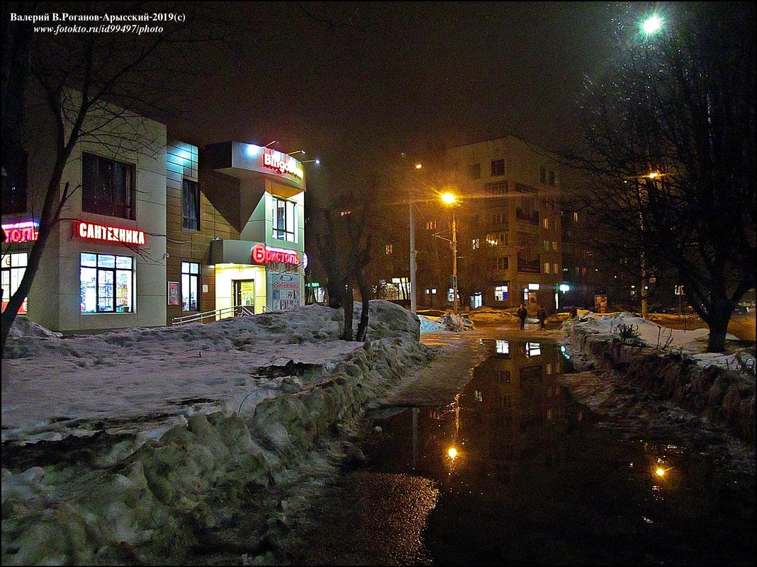 ВЛАДИМИР ПРОВИНЦИАЛЬНЫЙ - Валерий Викторович РОГАНОВ-АРЫССКИЙ