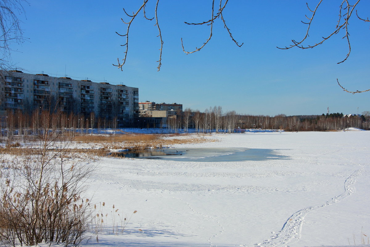 Весна в городе - Нэля Лысенко