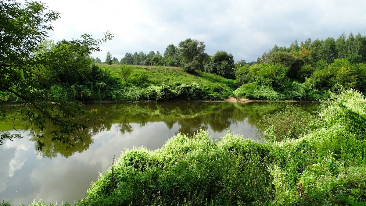 Вид с правого берега Днепра (Из поездок по области) - Милешкин Владимир Алексеевич Вид с правого берега Днепра (Из поездок по области) - Милешкин Владимир Алексеевич