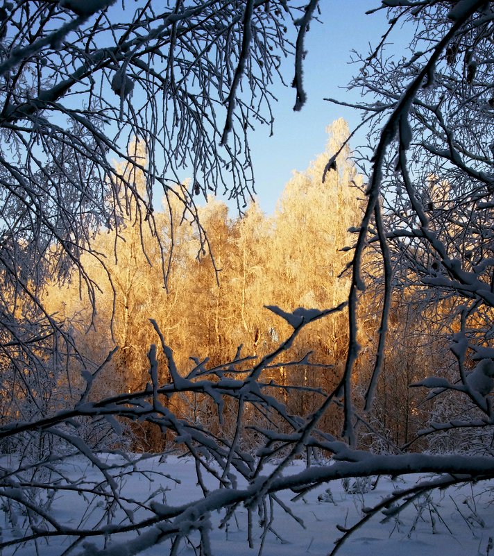 уральская зима - Галинур 