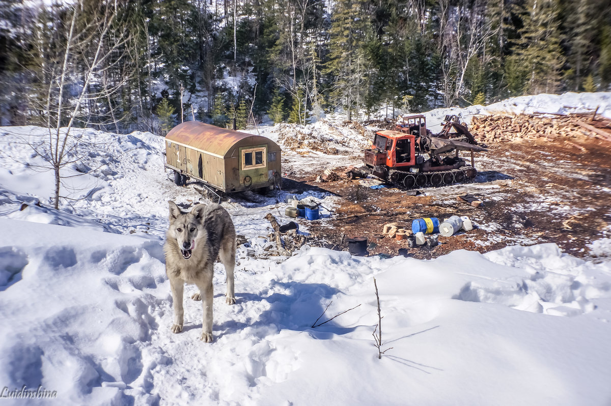 Охрана! - Ирина Антоновна Охрана! - Ирина Антоновна