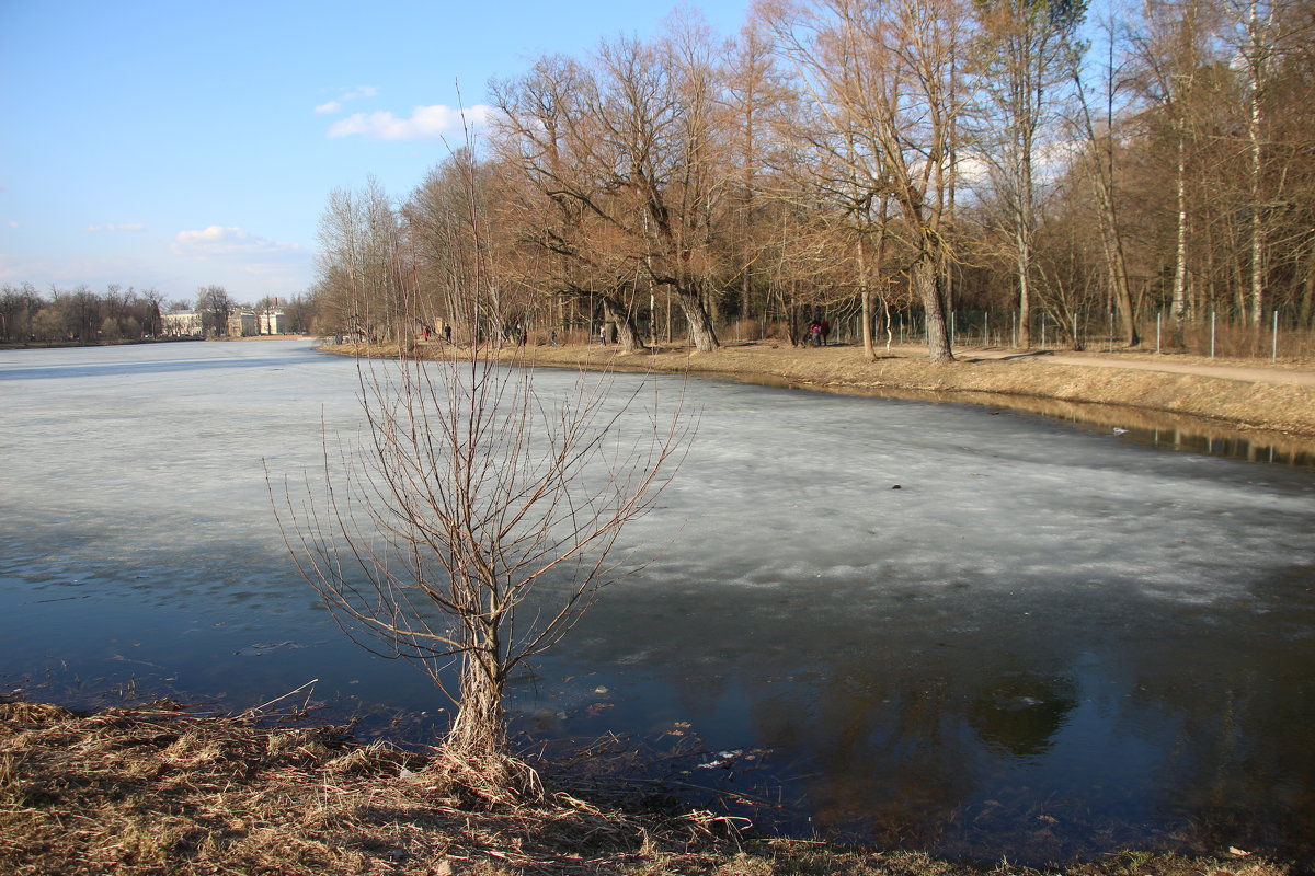 Царское Село. Апрель - Наталья Герасимова