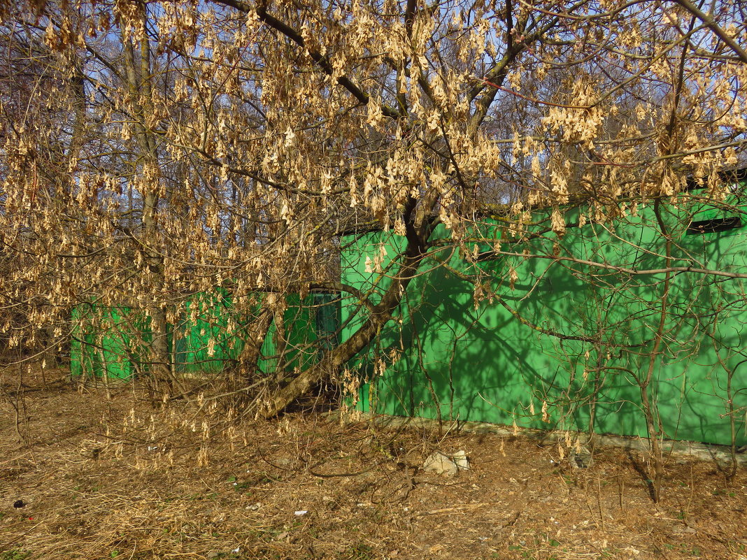 Апрель в городе - Андрей Лукьянов