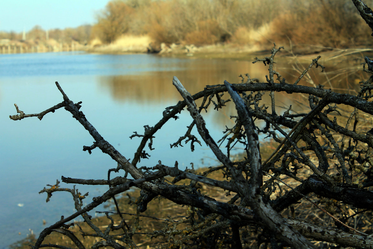 . - Татьяна Королёва
