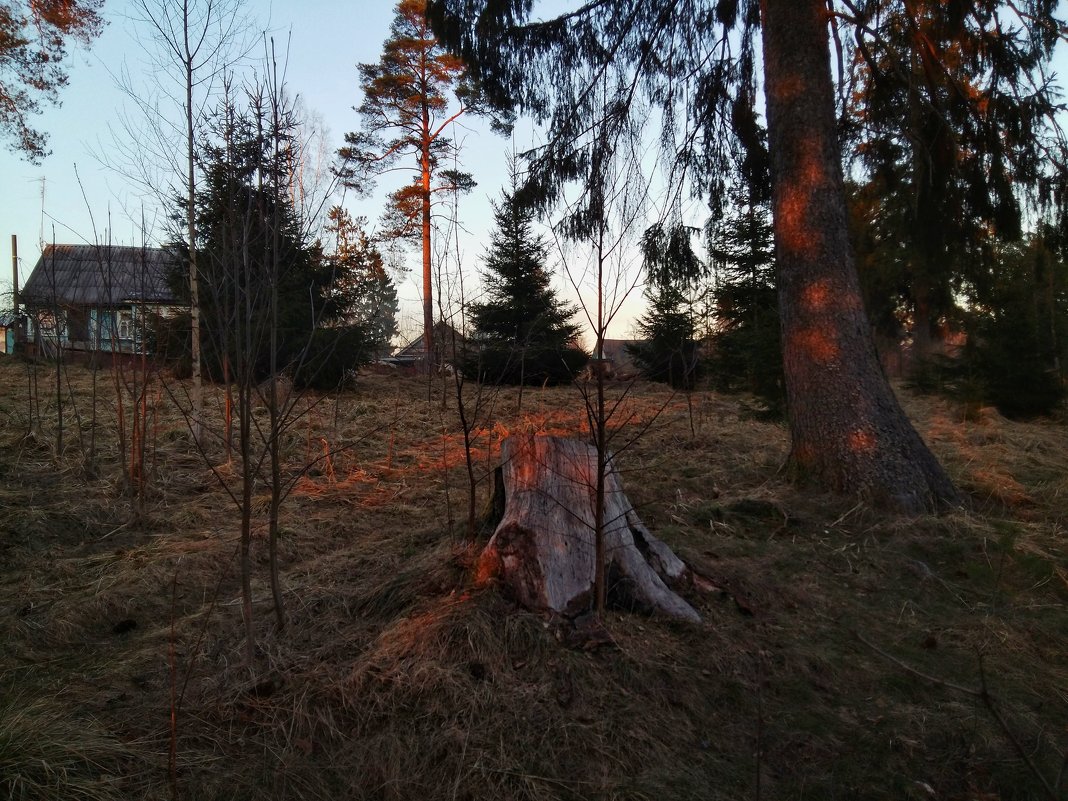 *** - Наталья Ерёменко