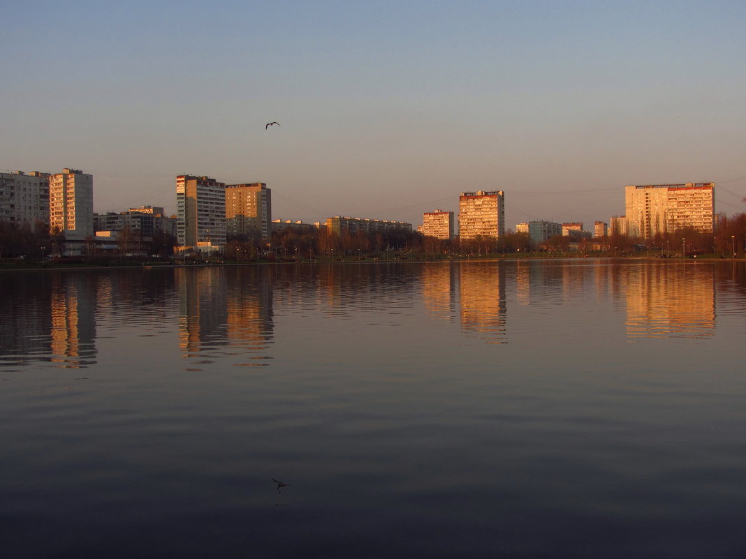 Вечер на городском пруду - Андрей Лукьянов