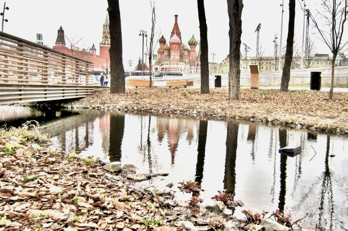 Искусственные пруды в парке «Зарядье» - Елена (ЛенаРа)