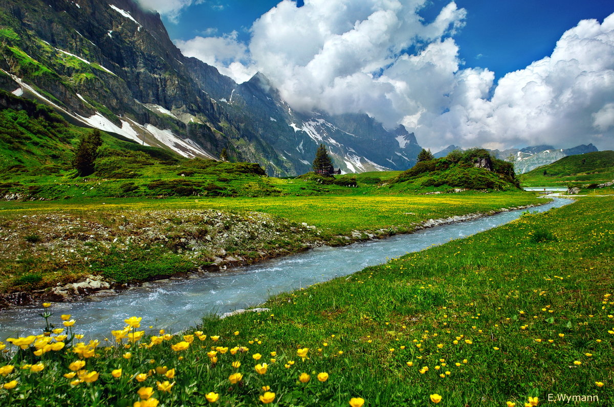 по дороге с облаками - Elena Wymann