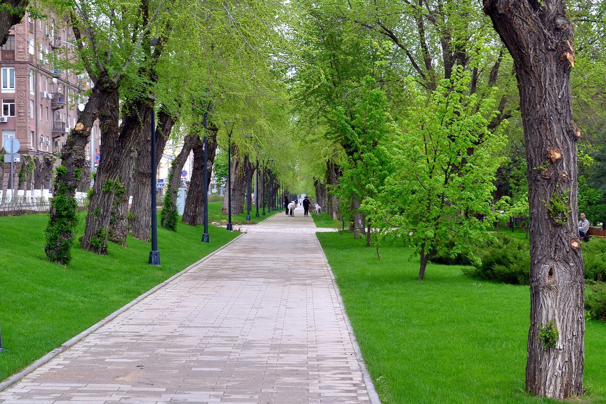 Весна и в городе заметна... - Aлександр **