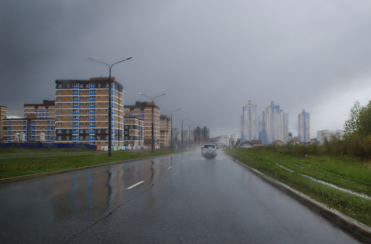 Майский дождь - Роман Пацкевич