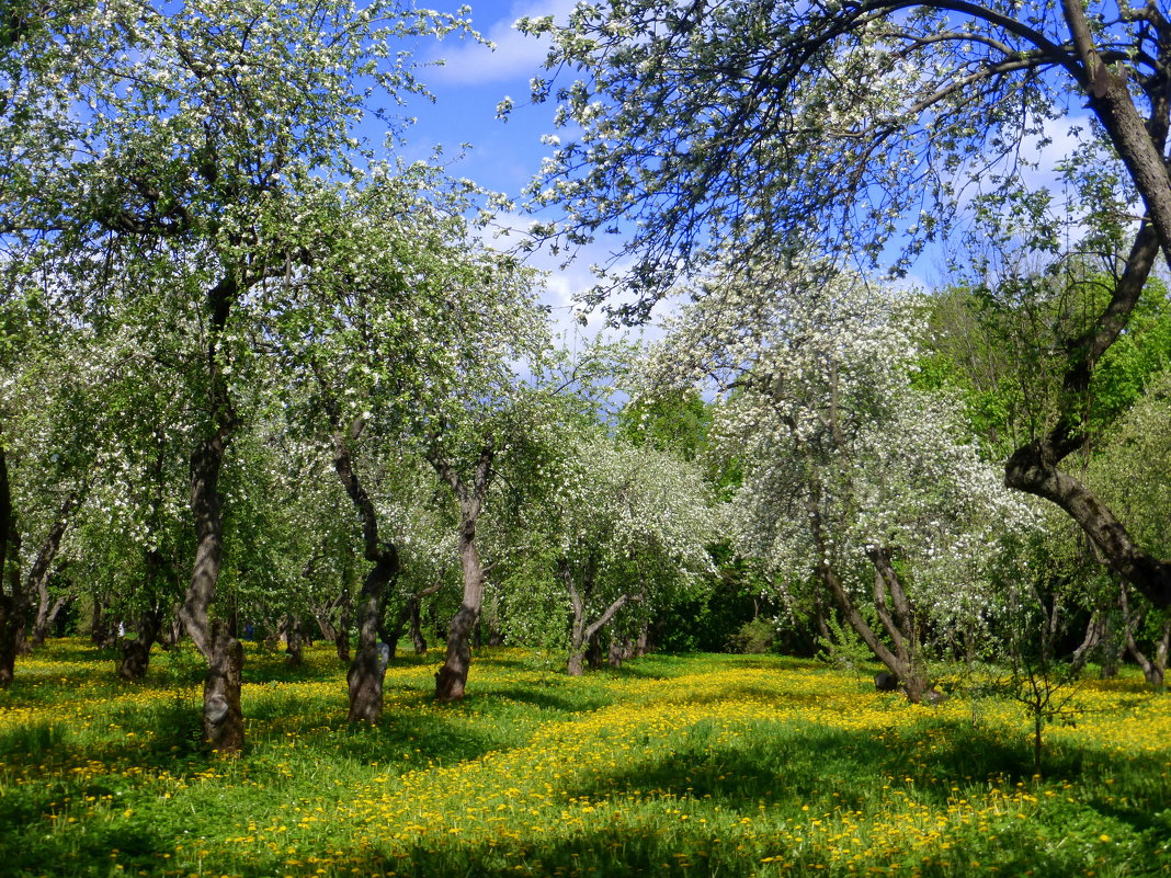 ... - Татьяна Лобанова