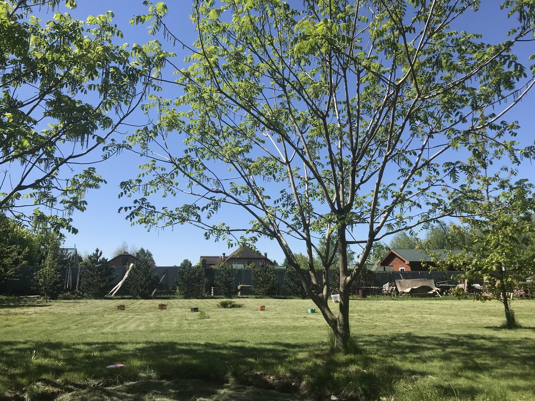 ... - Светлана Ященко