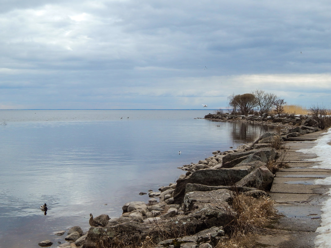 Зеленогорск. Устье Чёрной Речки. - Лариса (Phinikia) Двойникова Зеленогорск. Устье Чёрной Речки. - Лариса (Phinikia) Двойникова