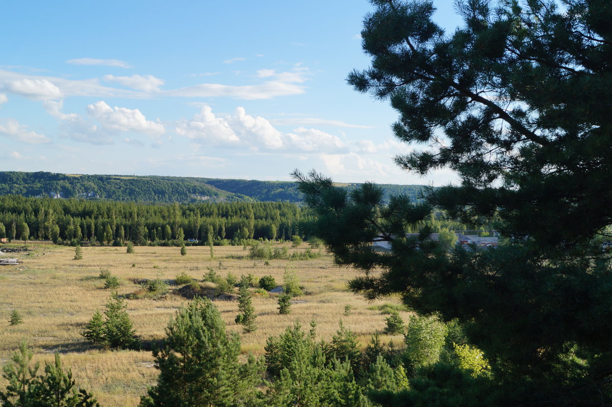 г.Лиски - Анастасия 