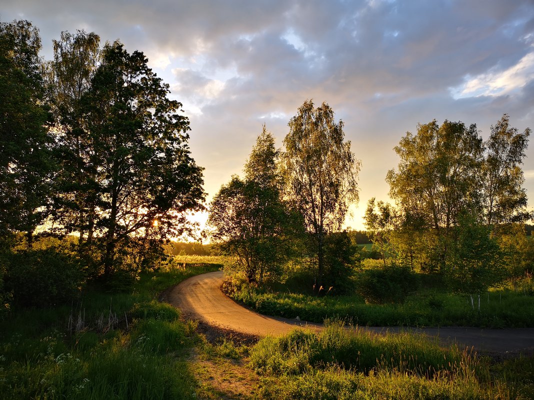Июньский вечер - Александр Зиновьев