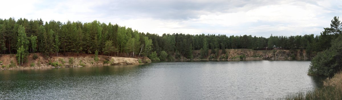 в городском бору - ольга хакимова