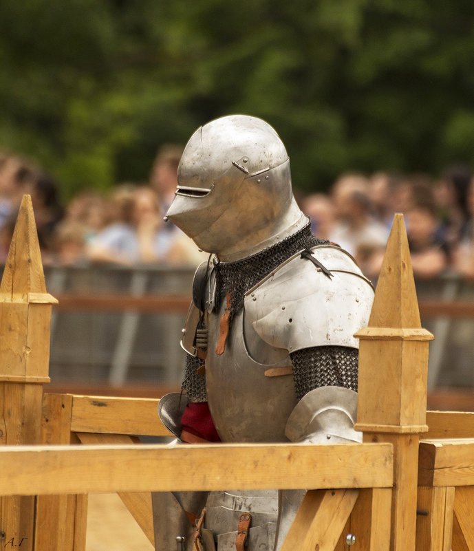 На ринге - Александр 