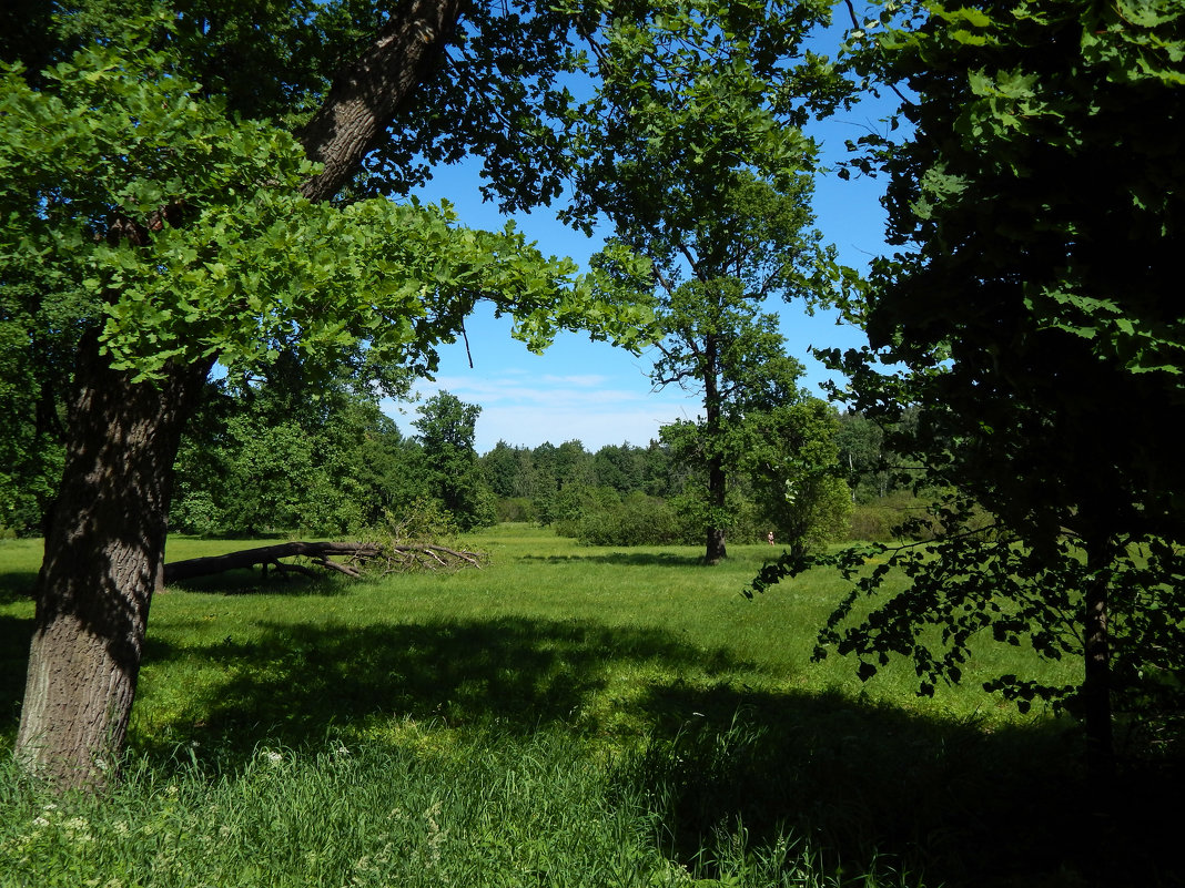 Санкт-Петербург. Царское Село. - Лариса (Phinikia) Двойникова