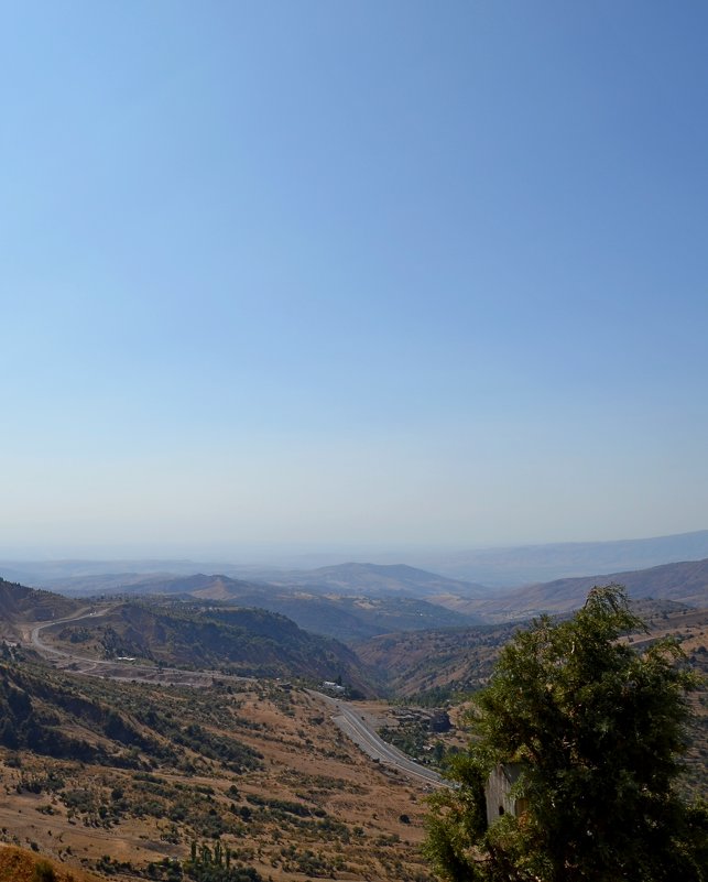 ЧИМГАН, окрестности. - Виктор Осипчук ЧИМГАН, окрестности. - Виктор Осипчук