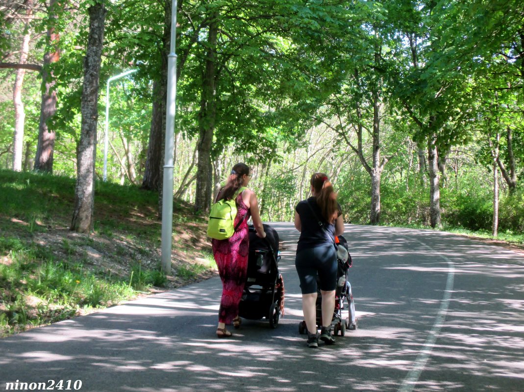 Кисловодск. В курортном парке - Нина Бутко