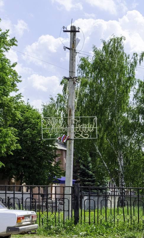 Вот и Новый год пришел - Кот Шредингера