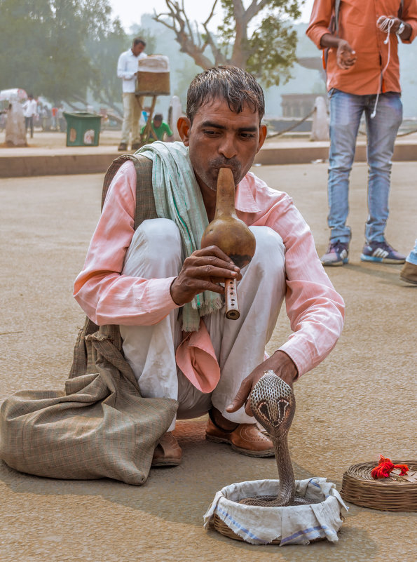 Indian snake charmer - Евгений Бубнов