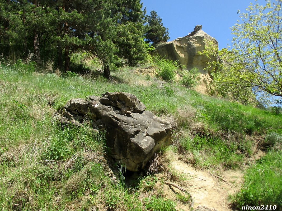 Кисловодск. В курортном парке - Нина Бутко