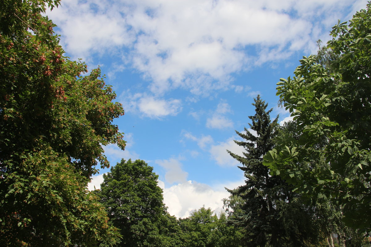 Июль - Наталья Герасимова