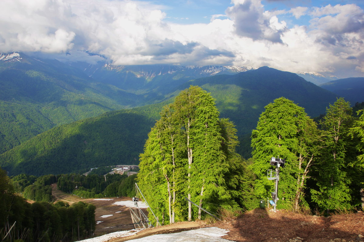 Май в горах - Виолетта 
