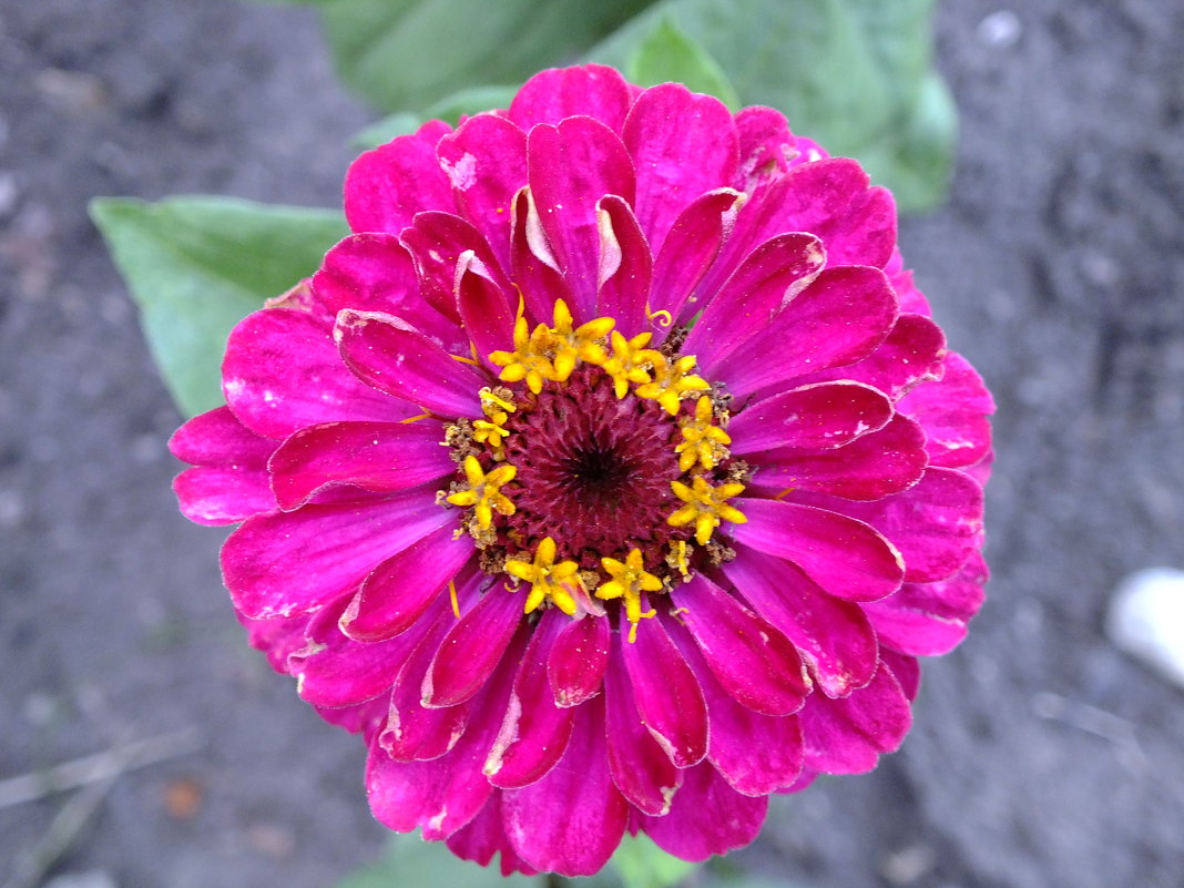 Вечерние красоты)))) - Алексей Кузнецов Вечерние красоты)))) - Алексей Кузнецов