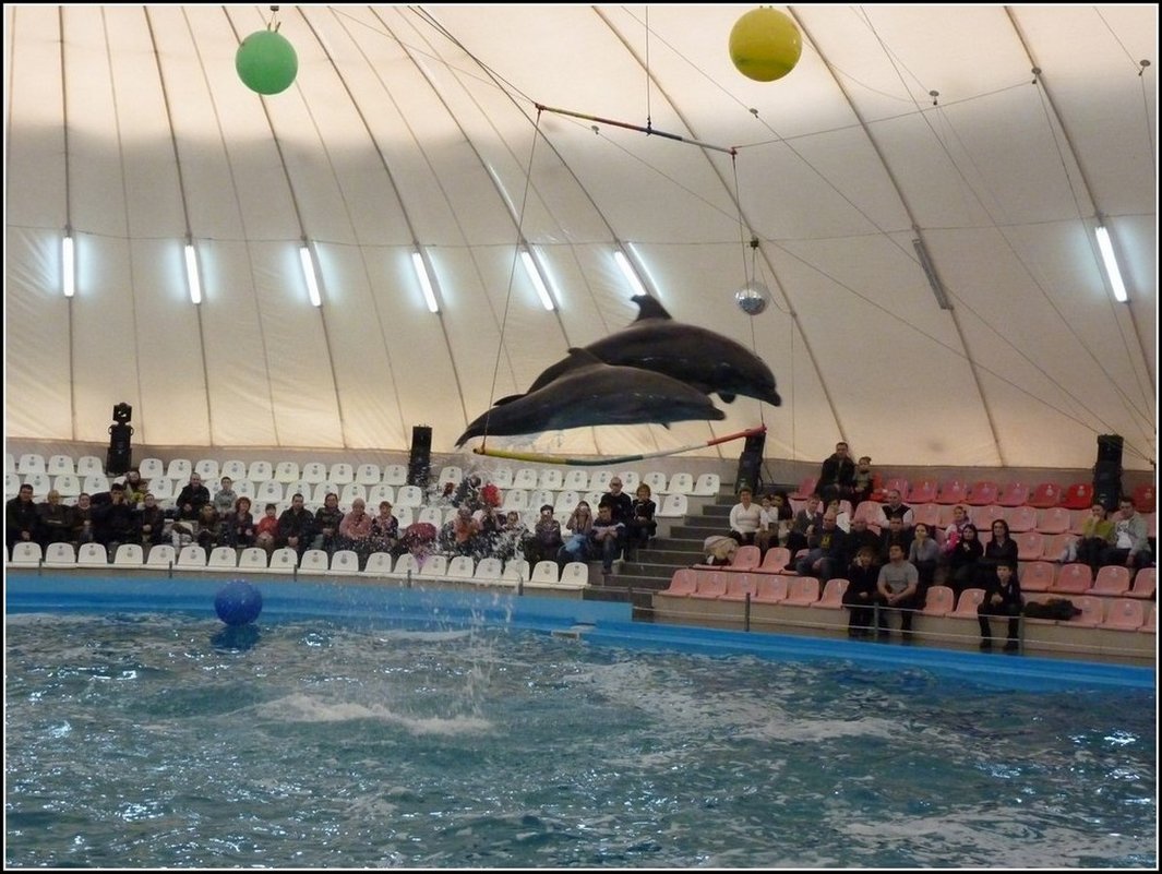 ШОУ ПРОДОЛЖАЕТСЯ - Анатолий Восточный ШОУ ПРОДОЛЖАЕТСЯ - Анатолий Восточный