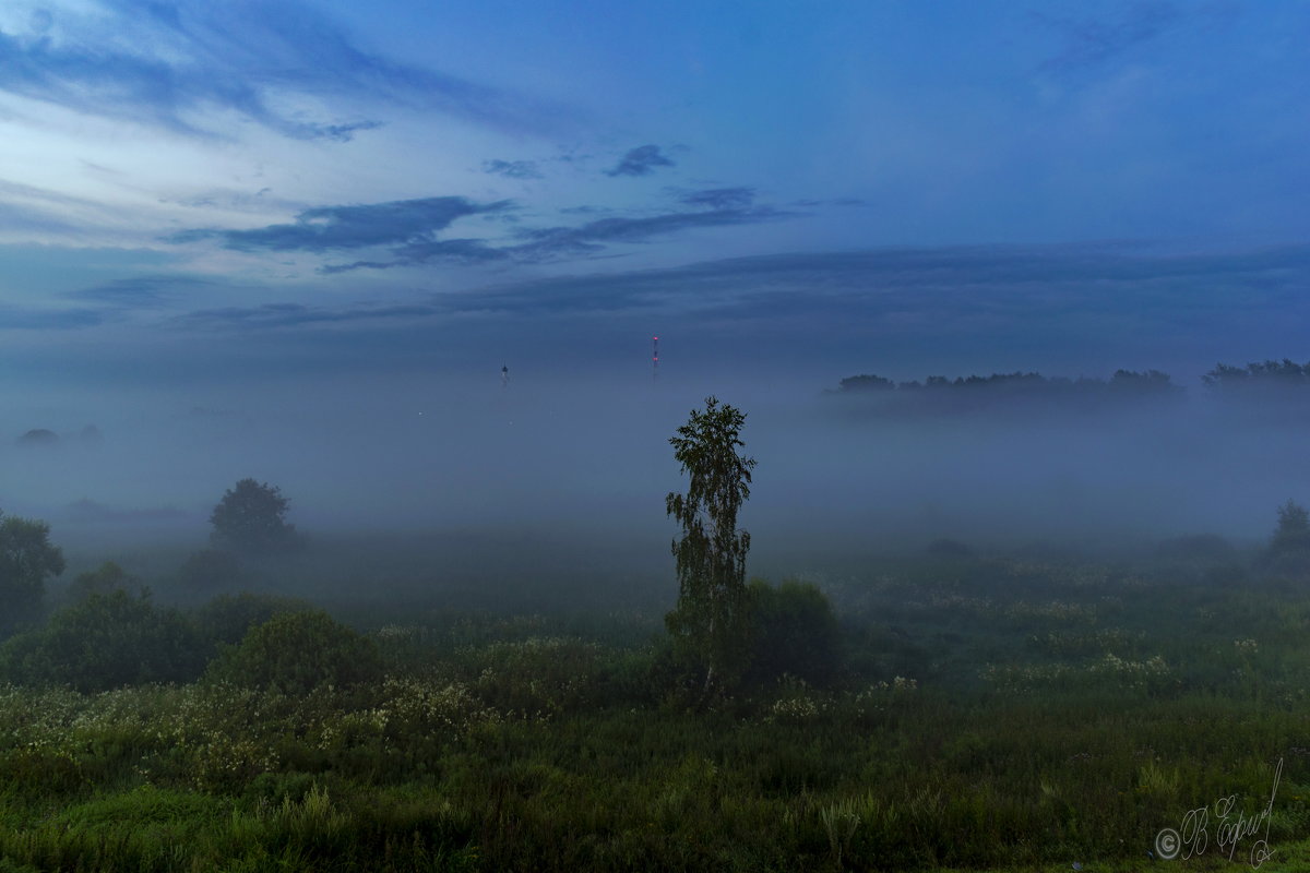 Туманная ночка - Владимир Ефимов