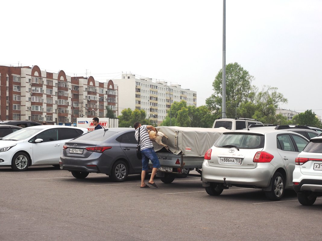Поехали! - Ильсияр Шакирова
