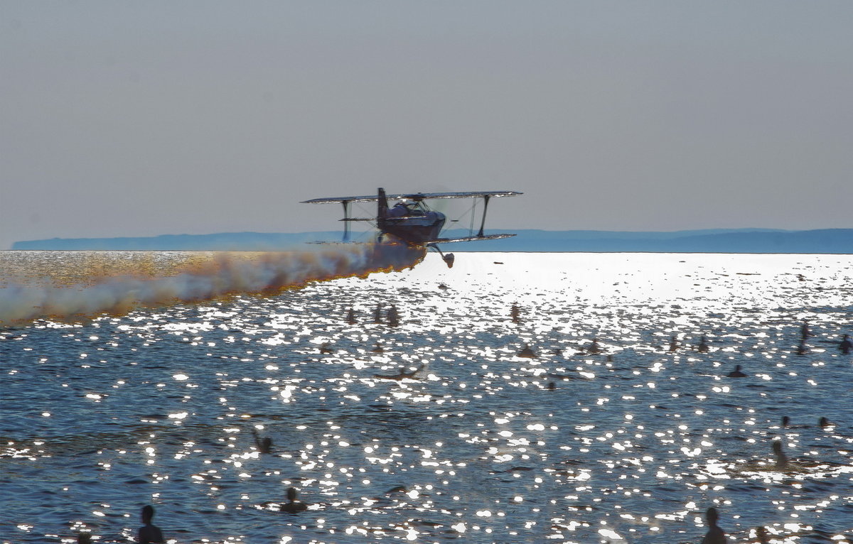 *** - Сергей  Могутов 